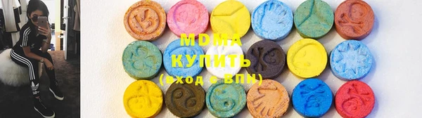 индика Осинники