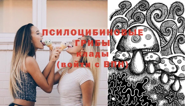 шишки Абинск
