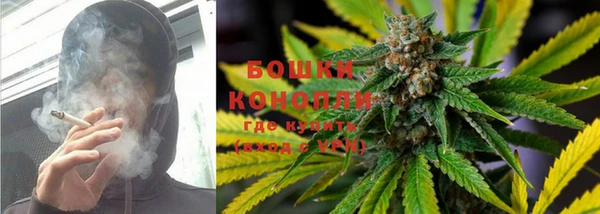 шишки Абинск