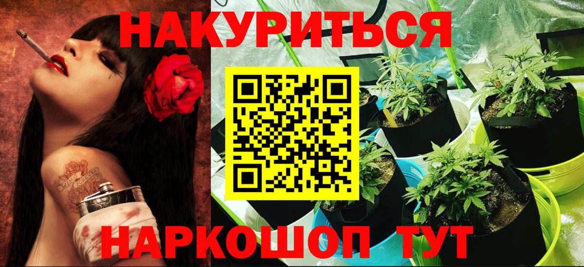 Тавда  Конопля MAZAR  Бошки Шишки тримм  Бошки Шишки сатива  Вход с VPN 